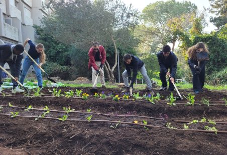 A new garden is born